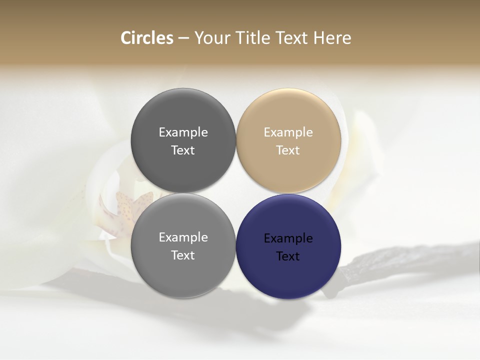 A White Orchid On A White Background Powerpoint Template PowerPoint Template