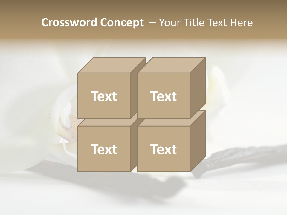 A White Orchid On A White Background Powerpoint Template PowerPoint Template