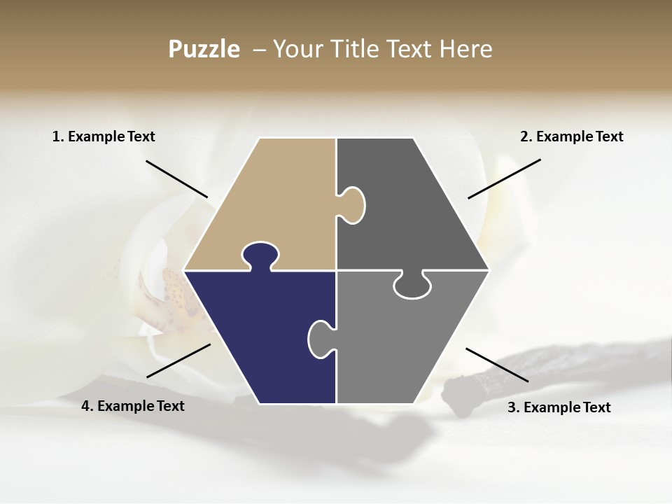 A White Orchid On A White Background Powerpoint Template PowerPoint Template