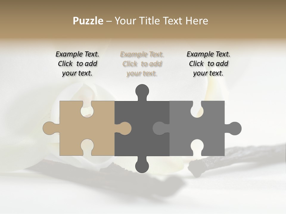 A White Orchid On A White Background Powerpoint Template PowerPoint Template