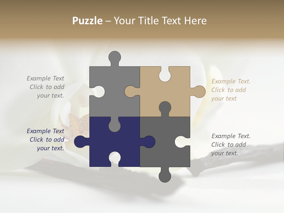 A White Orchid On A White Background Powerpoint Template PowerPoint Template