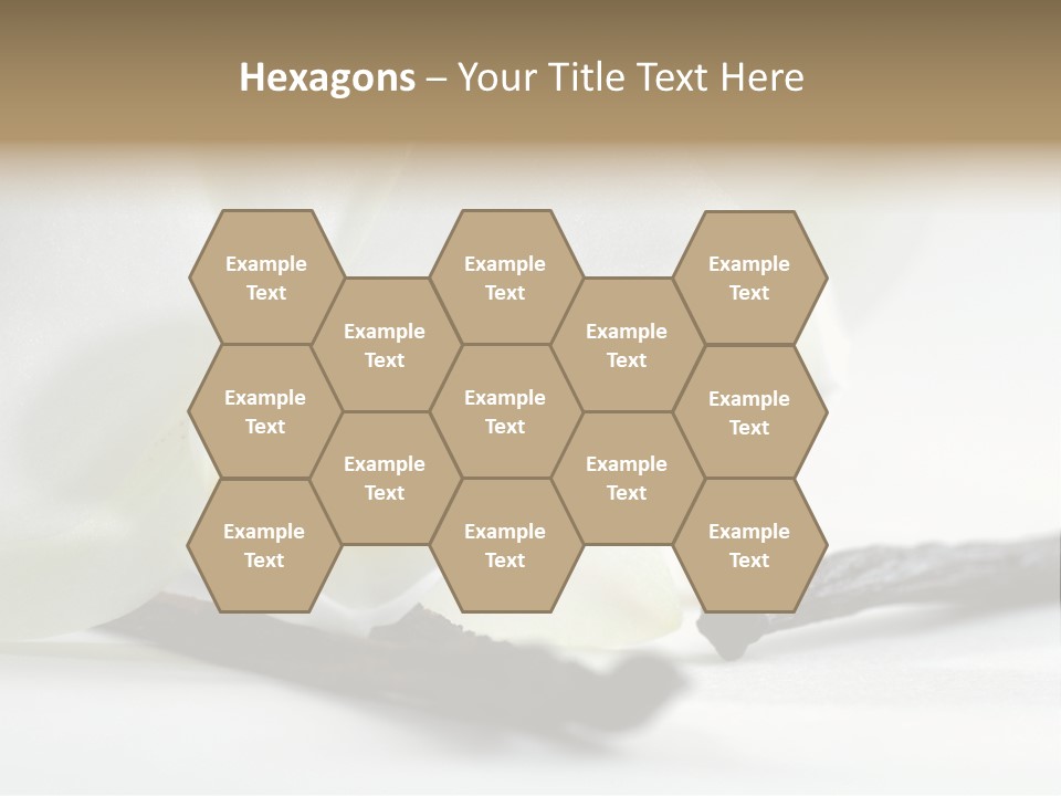 A White Orchid On A White Background Powerpoint Template PowerPoint Template