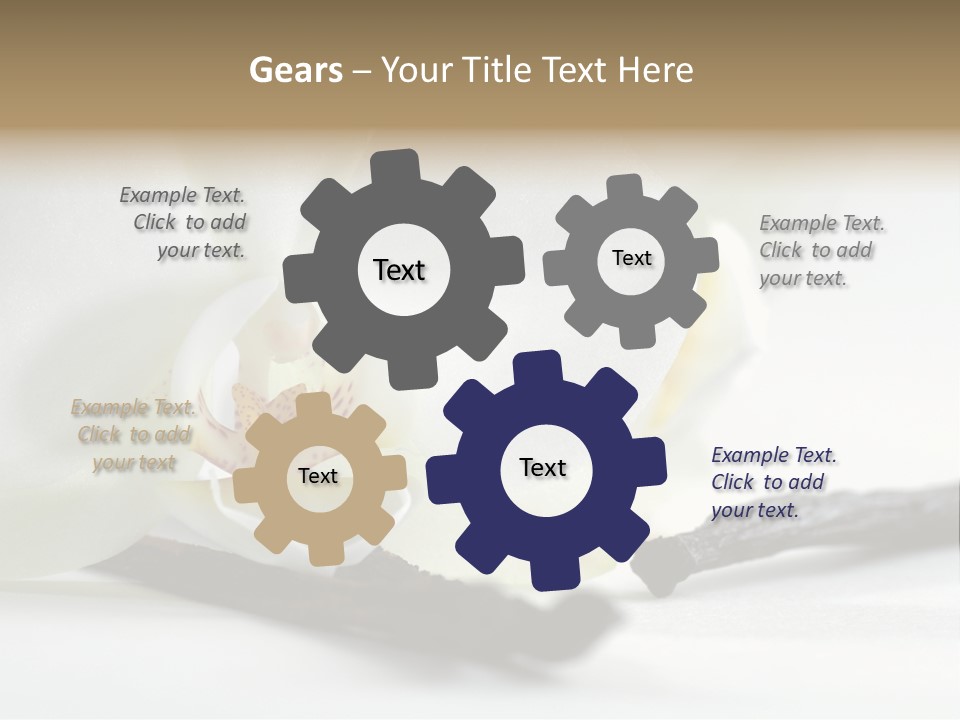 A White Orchid On A White Background Powerpoint Template PowerPoint Template