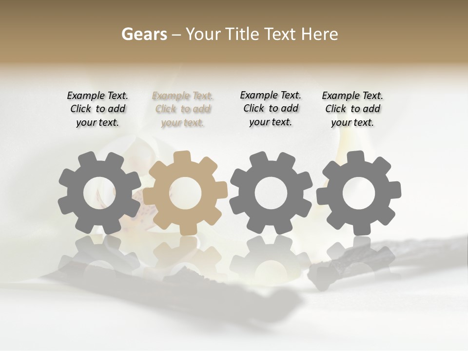 A White Orchid On A White Background Powerpoint Template PowerPoint Template