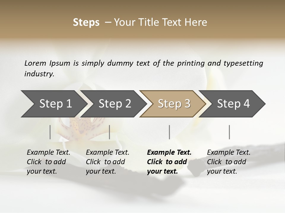 A White Orchid On A White Background Powerpoint Template PowerPoint Template