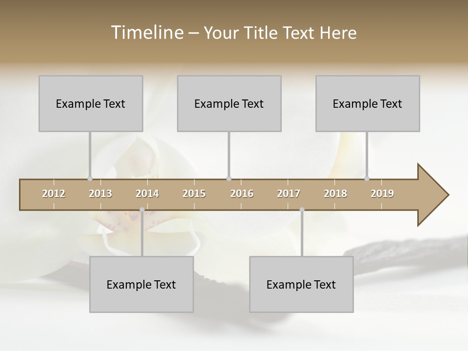 A White Orchid On A White Background Powerpoint Template PowerPoint Template