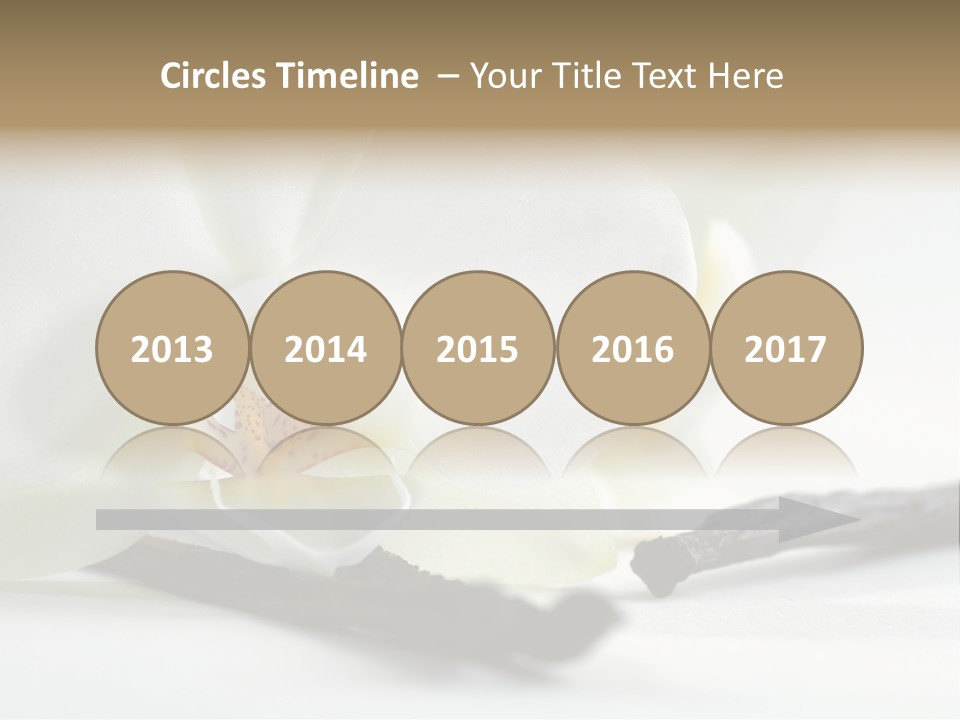 A White Orchid On A White Background Powerpoint Template PowerPoint Template