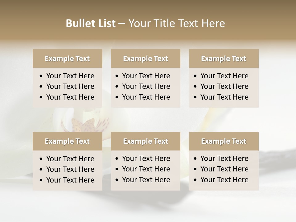 A White Orchid On A White Background Powerpoint Template PowerPoint Template