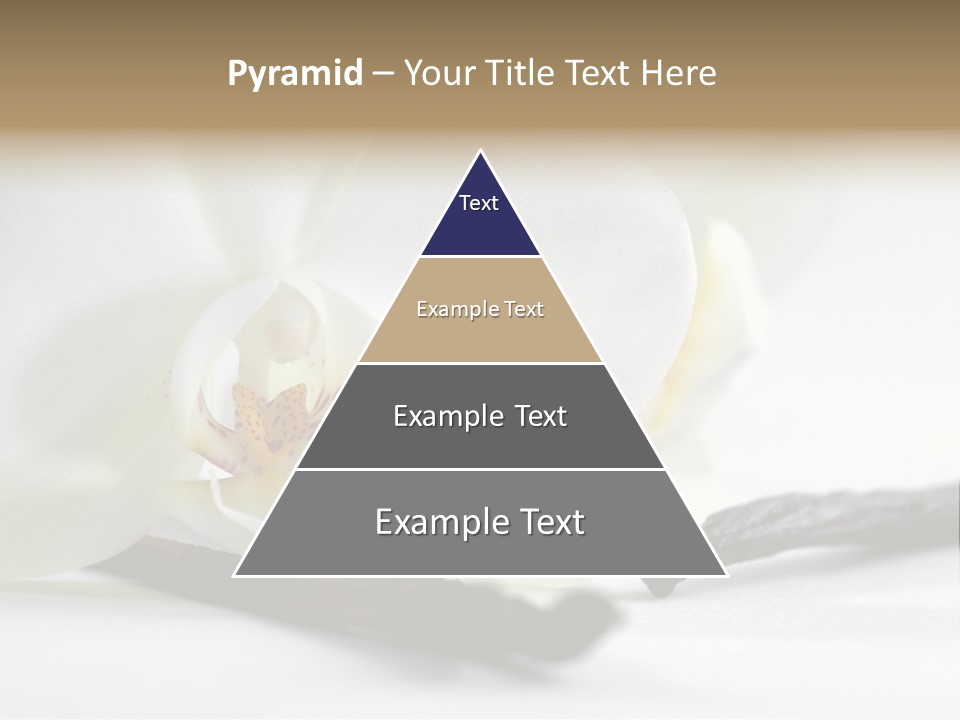 A White Orchid On A White Background Powerpoint Template PowerPoint Template