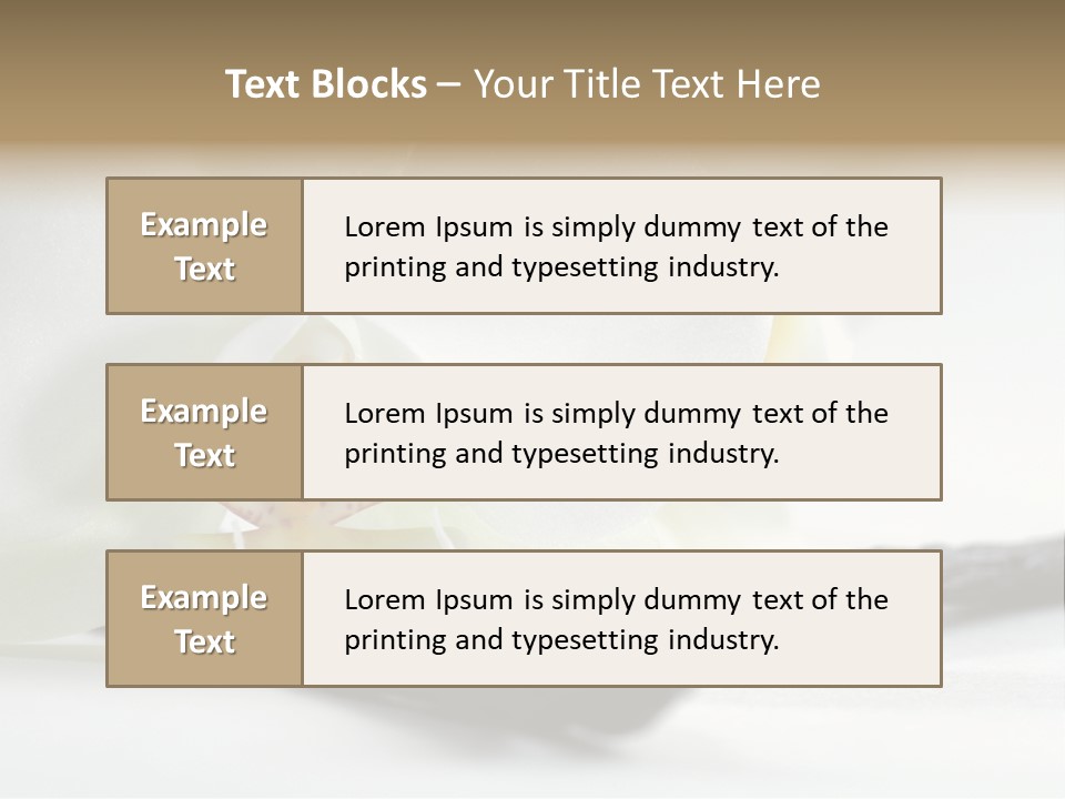 A White Orchid On A White Background Powerpoint Template PowerPoint Template