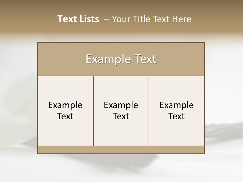 A White Orchid On A White Background Powerpoint Template PowerPoint Template