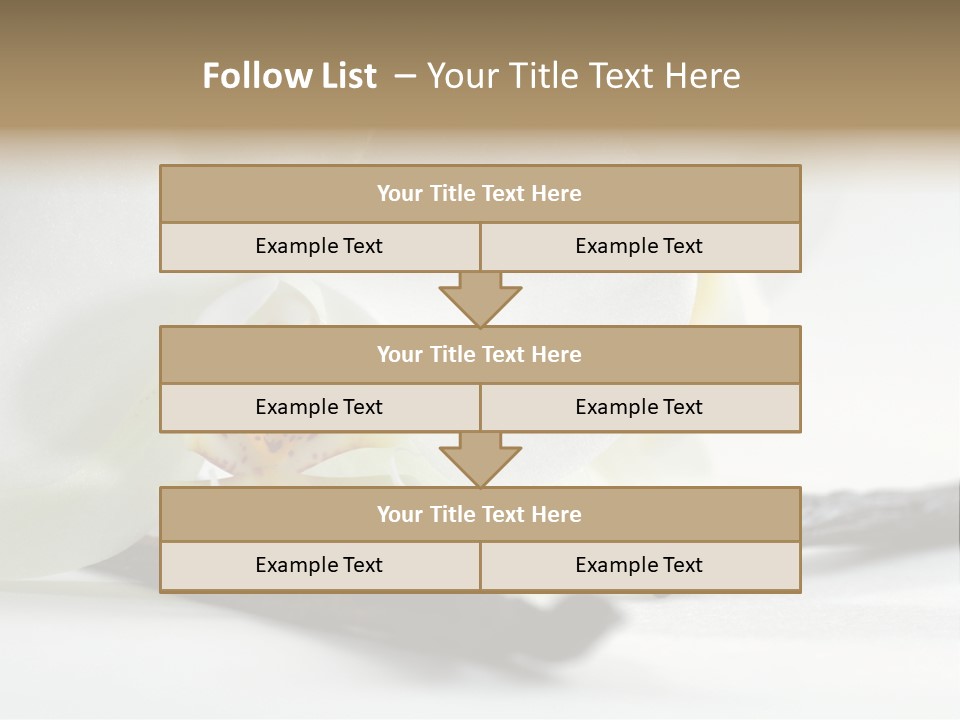 A White Orchid On A White Background Powerpoint Template PowerPoint Template