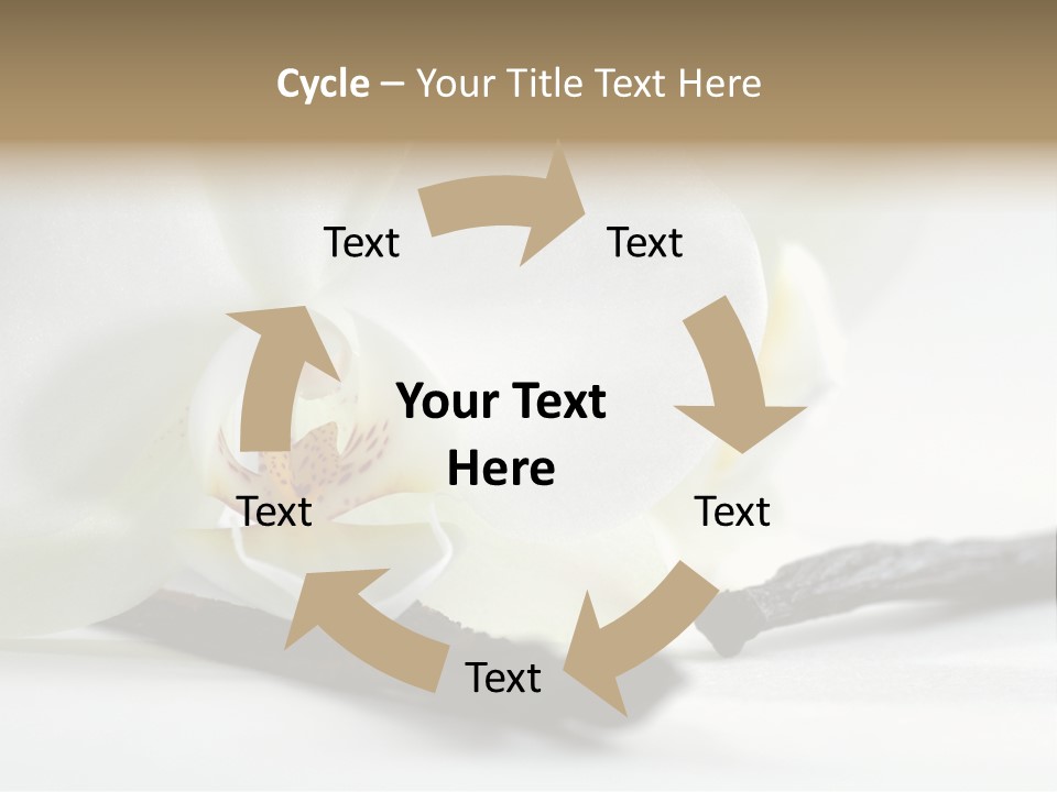 A White Orchid On A White Background Powerpoint Template PowerPoint Template