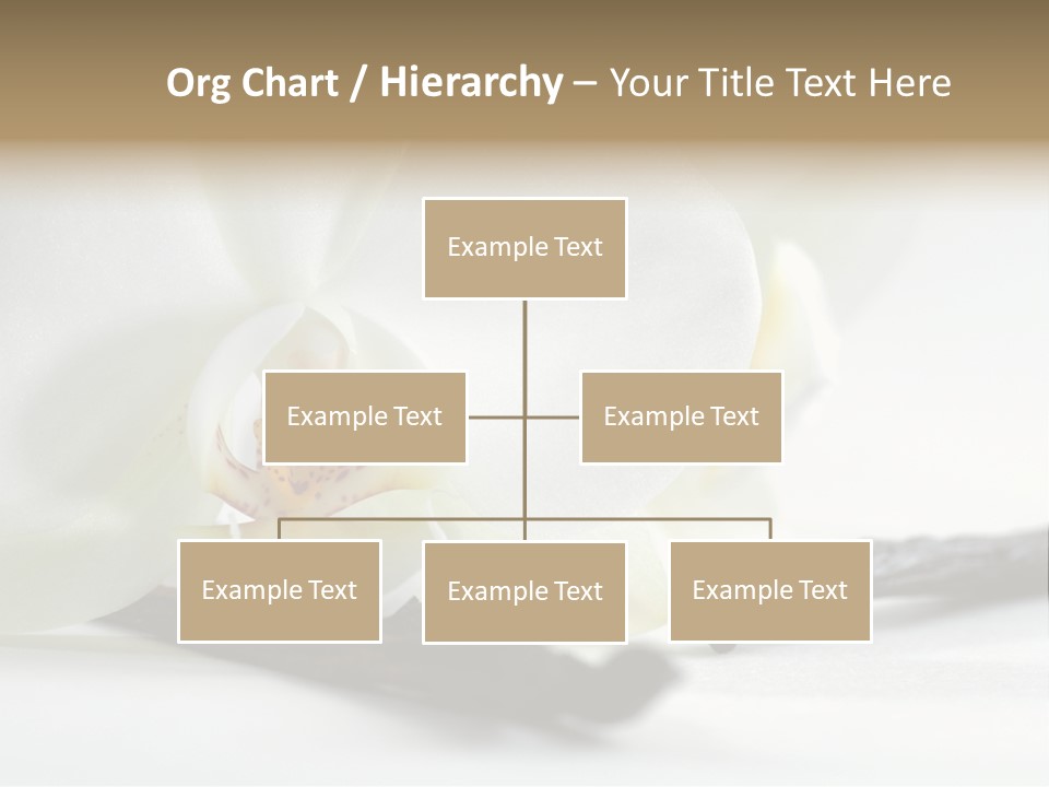 A White Orchid On A White Background Powerpoint Template PowerPoint Template