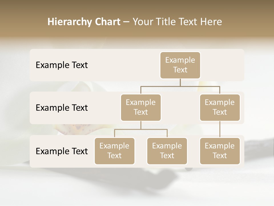 A White Orchid On A White Background Powerpoint Template PowerPoint Template
