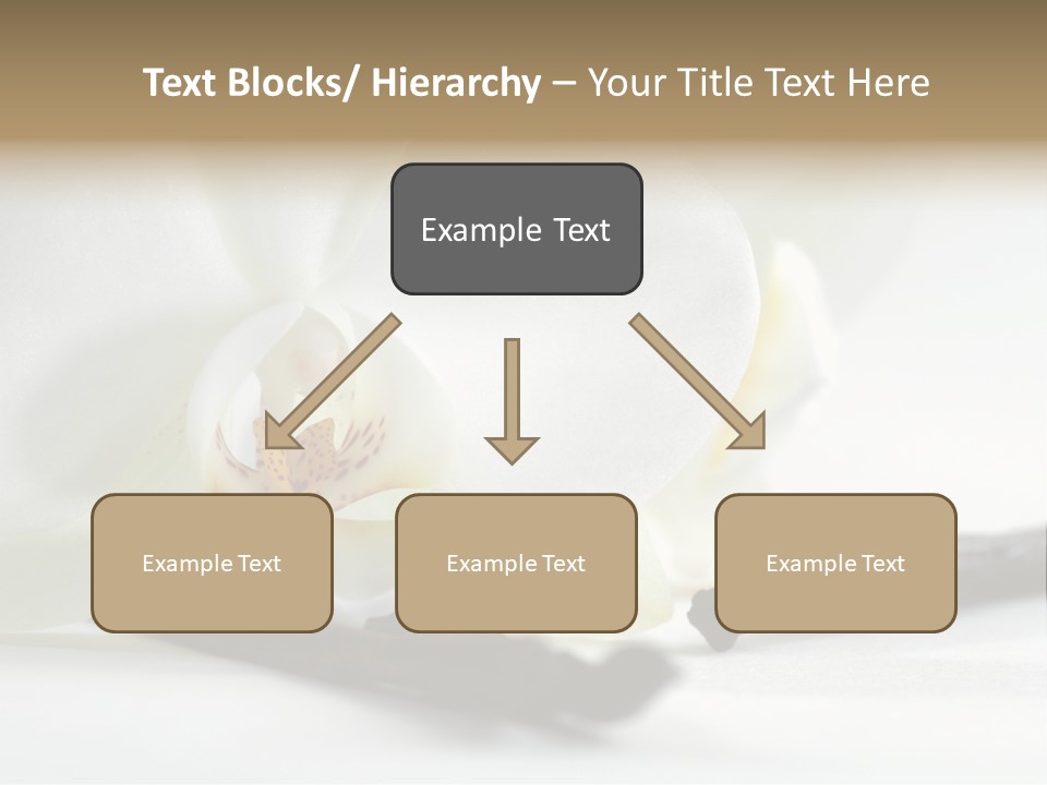 A White Orchid On A White Background Powerpoint Template PowerPoint Template