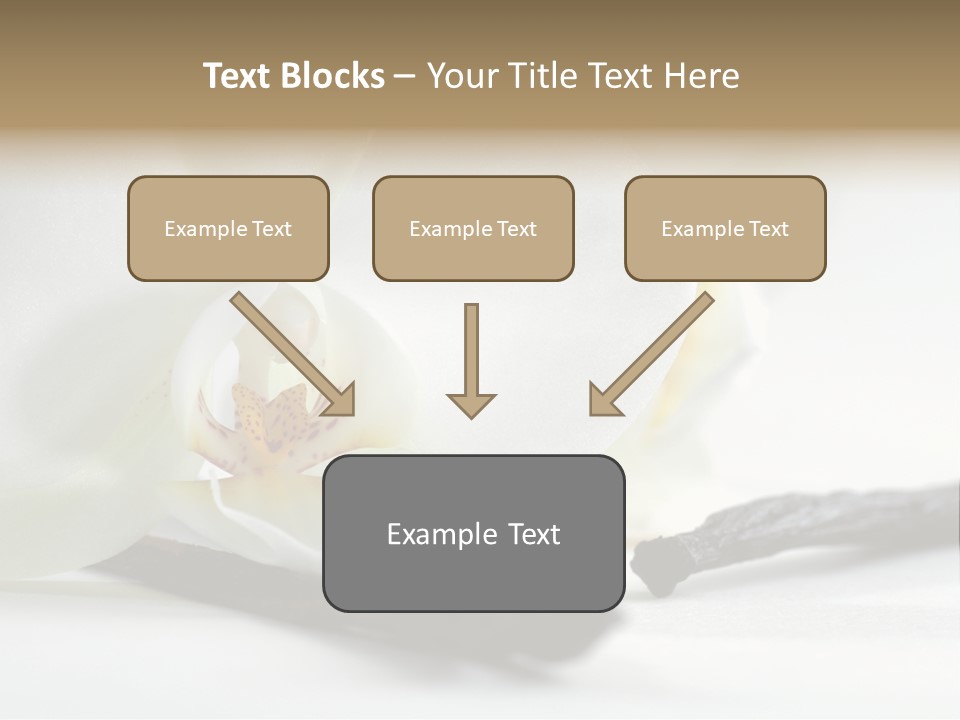 A White Orchid On A White Background Powerpoint Template PowerPoint Template