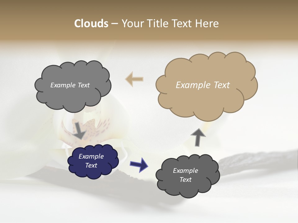 A White Orchid On A White Background Powerpoint Template PowerPoint Template