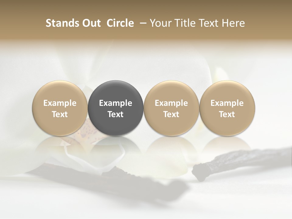 A White Orchid On A White Background Powerpoint Template PowerPoint Template