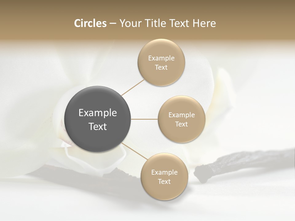 A White Orchid On A White Background Powerpoint Template PowerPoint Template