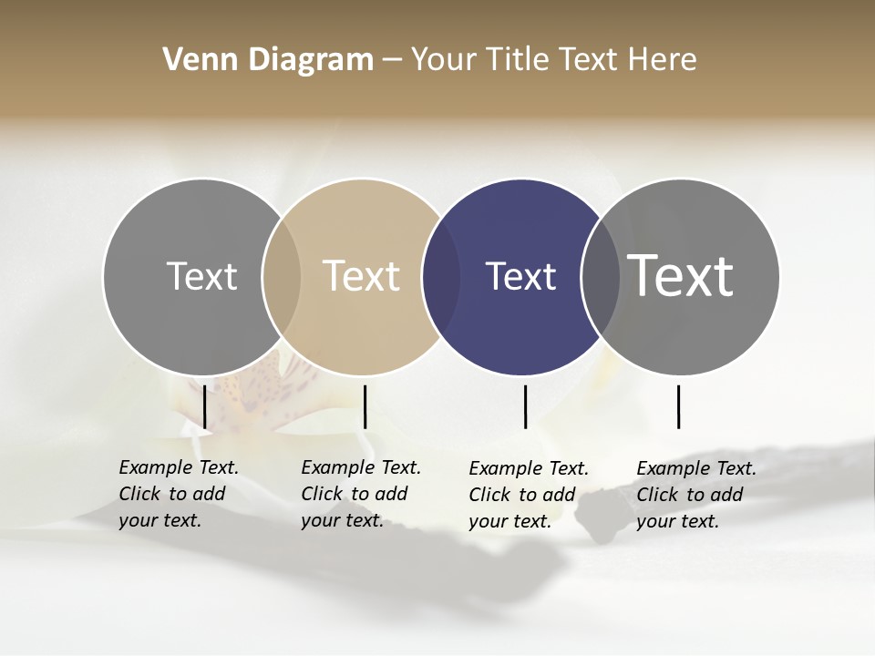 A White Orchid On A White Background Powerpoint Template PowerPoint Template