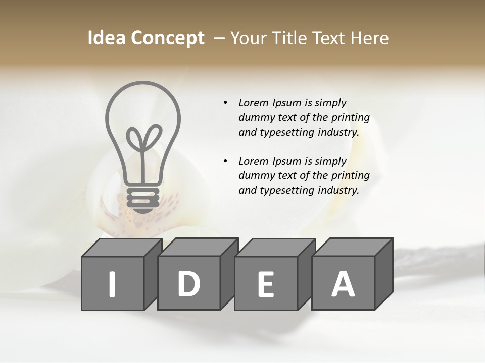 A White Orchid On A White Background Powerpoint Template PowerPoint Template