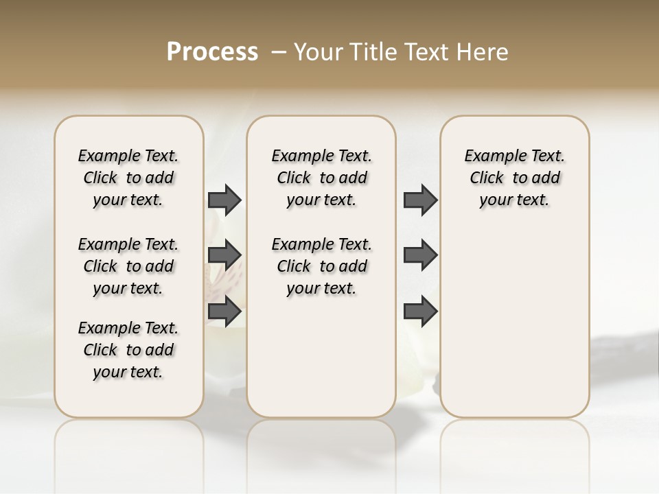 A White Orchid On A White Background Powerpoint Template PowerPoint Template
