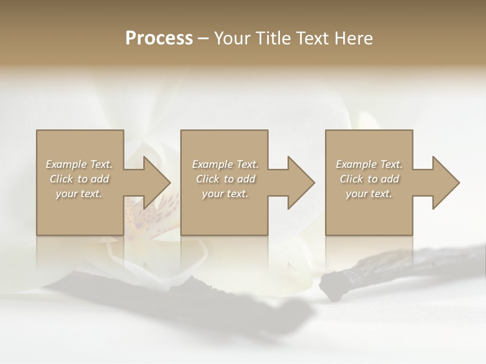 A White Orchid On A White Background Powerpoint Template PowerPoint Template