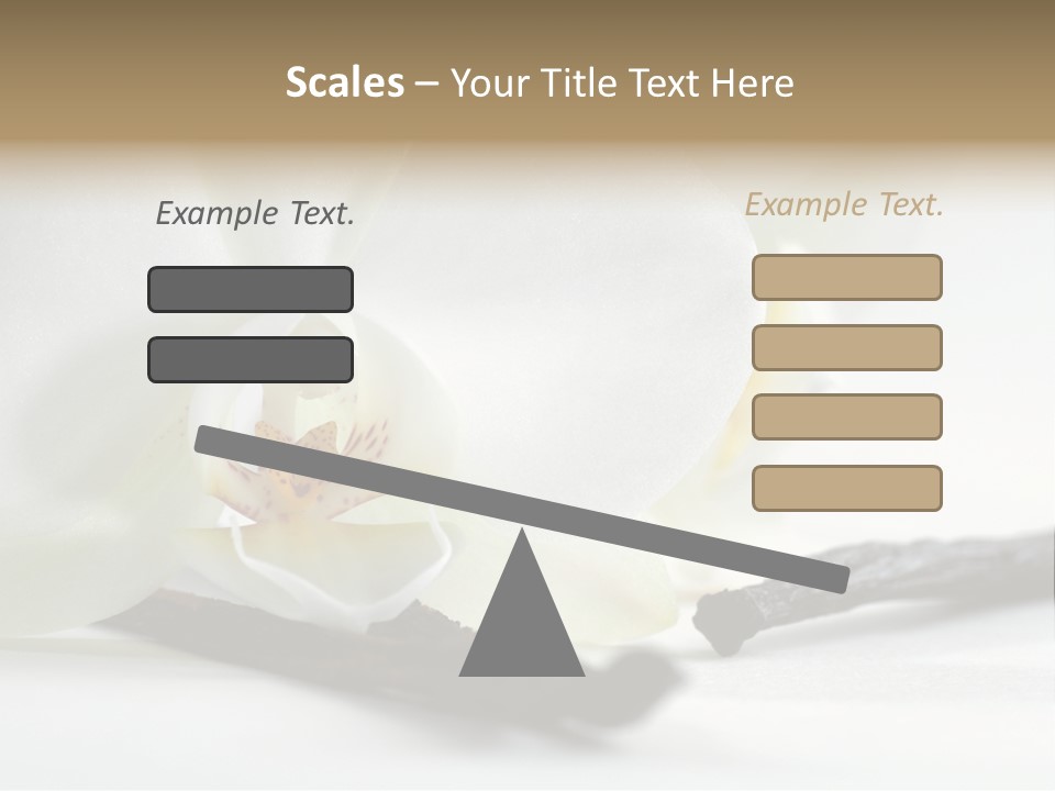 A White Orchid On A White Background Powerpoint Template PowerPoint Template