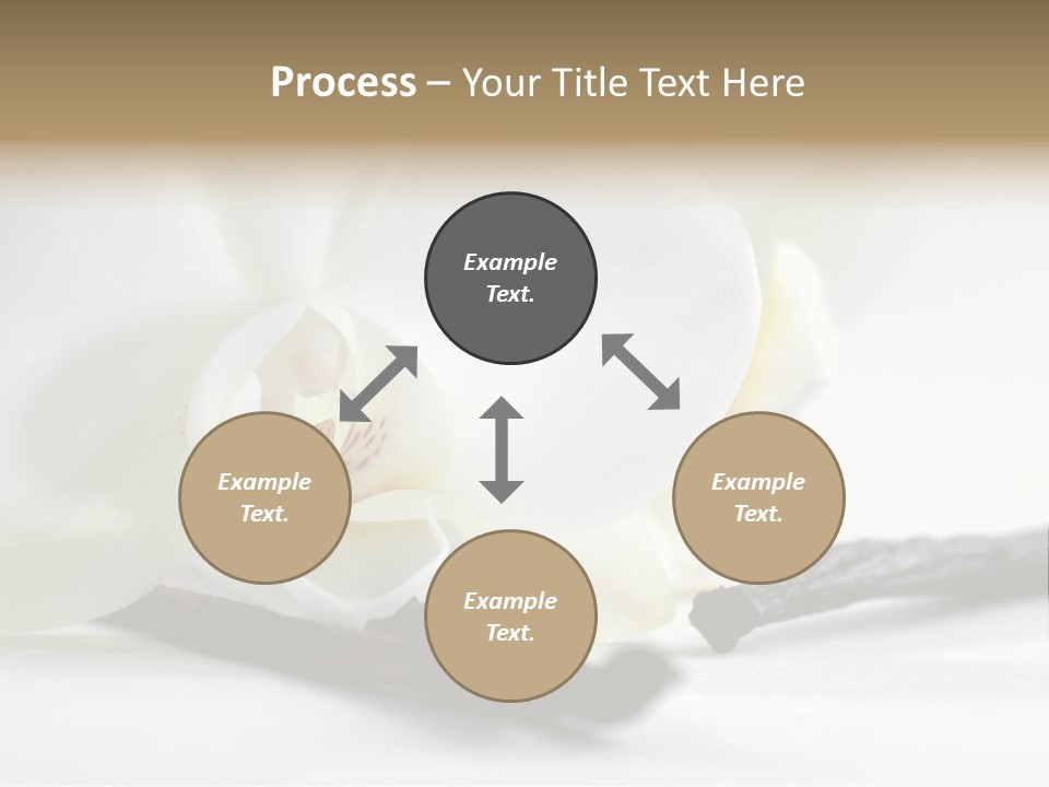 A White Orchid On A White Background Powerpoint Template PowerPoint Template