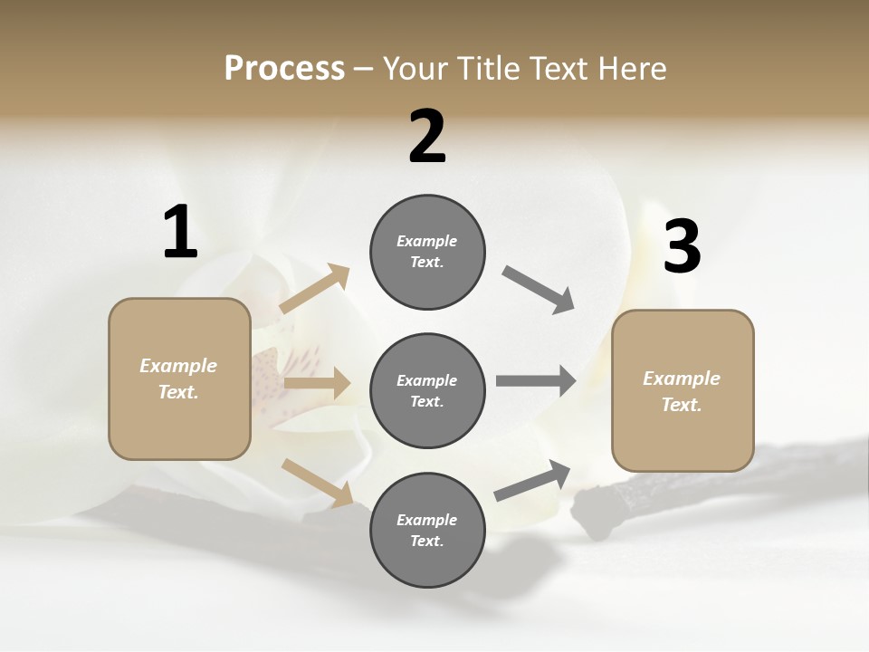 A White Orchid On A White Background Powerpoint Template PowerPoint Template