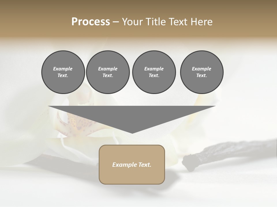 A White Orchid On A White Background Powerpoint Template PowerPoint Template