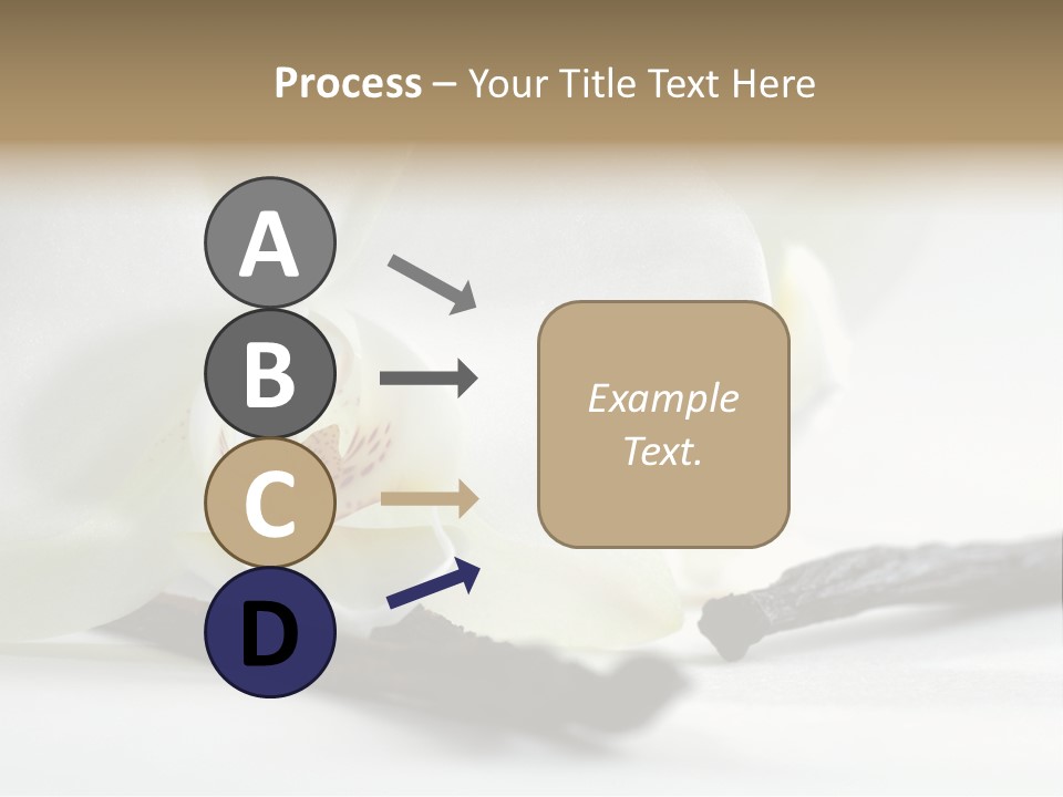 A White Orchid On A White Background Powerpoint Template PowerPoint Template