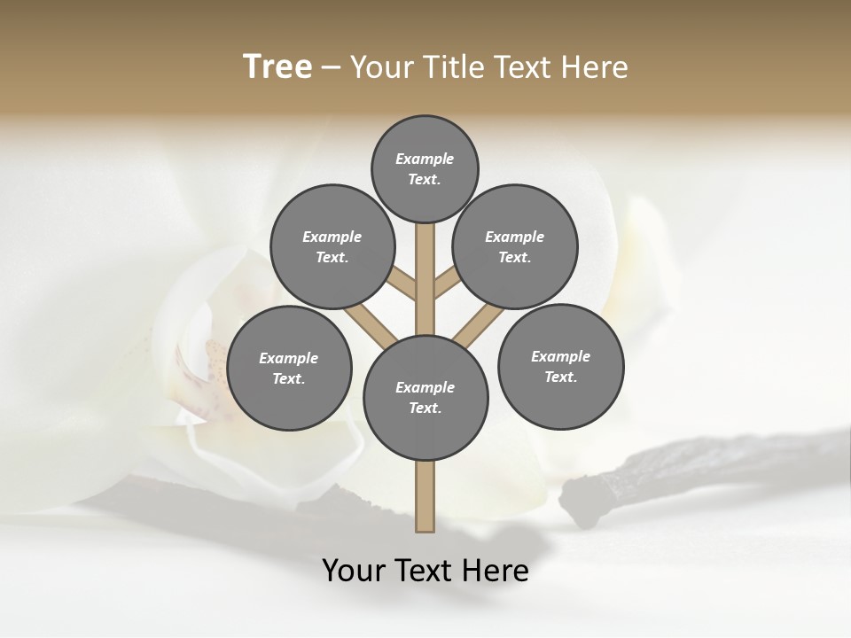 A White Orchid On A White Background Powerpoint Template PowerPoint Template