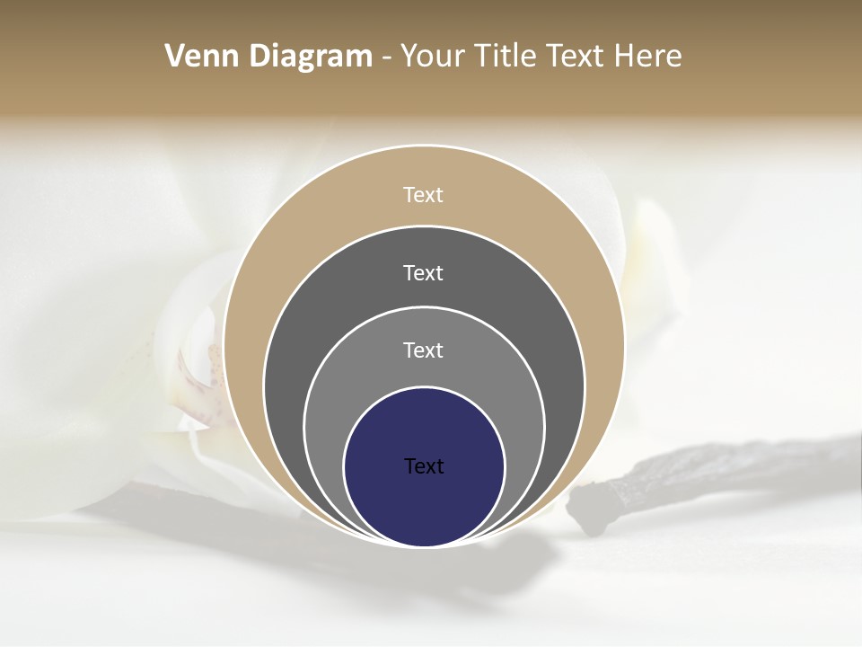 A White Orchid On A White Background Powerpoint Template PowerPoint Template