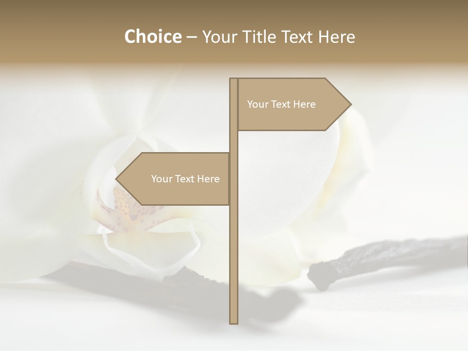 A White Orchid On A White Background Powerpoint Template PowerPoint Template