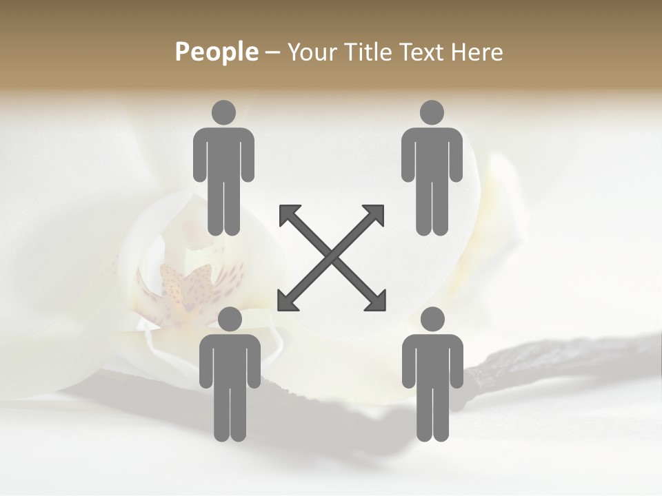 A White Orchid On A White Background Powerpoint Template PowerPoint Template