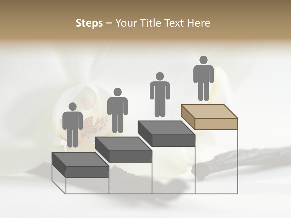 A White Orchid On A White Background Powerpoint Template PowerPoint Template