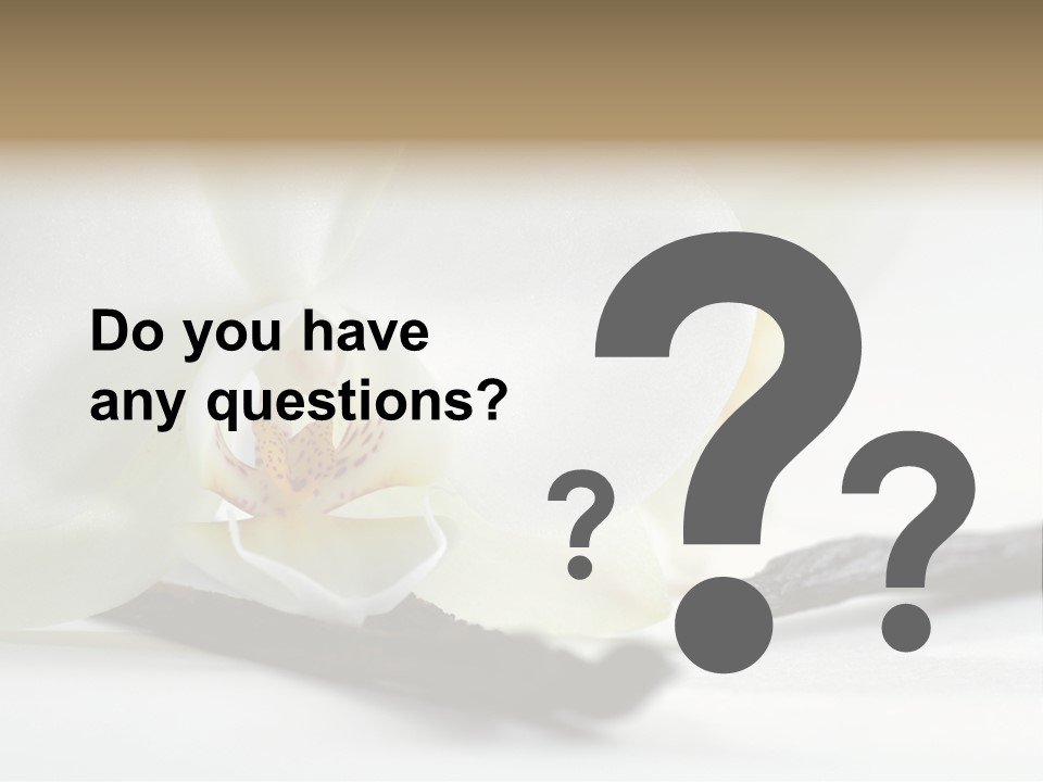 A White Orchid On A White Background Powerpoint Template PowerPoint Template