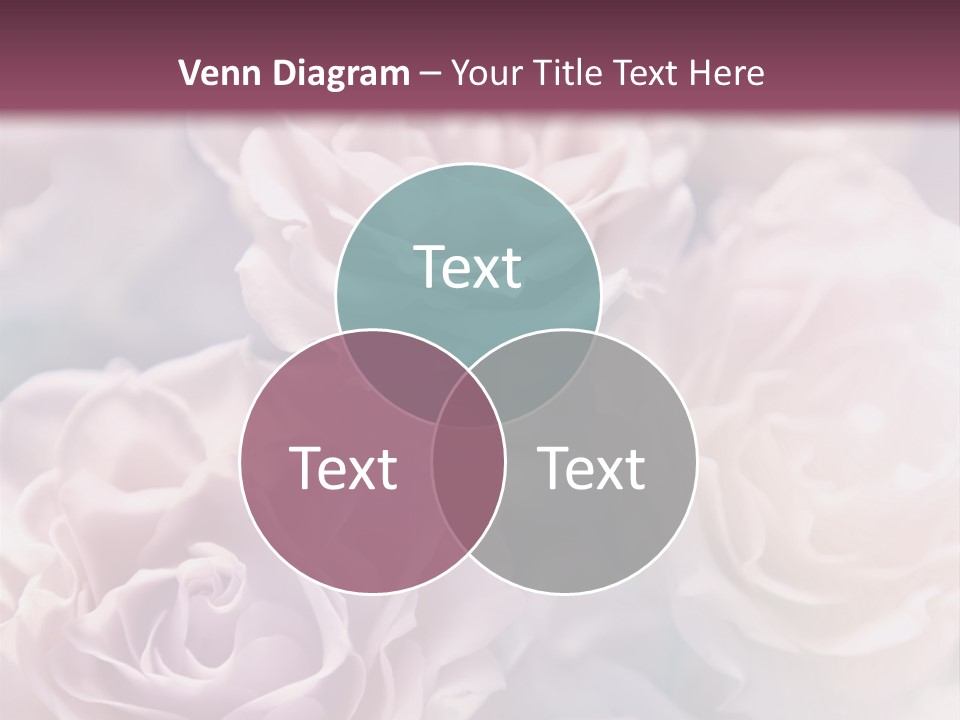A Bunch Of Pink Roses On A Purple And Blue Background PowerPoint Template