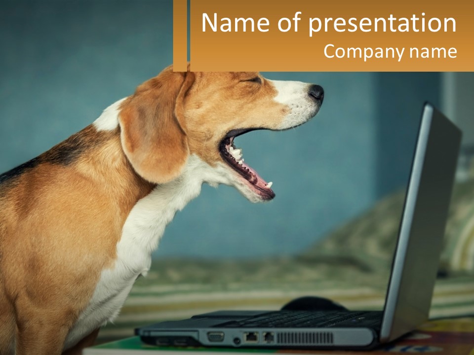 A Dog Sitting In Front Of A Laptop Computer PowerPoint Template