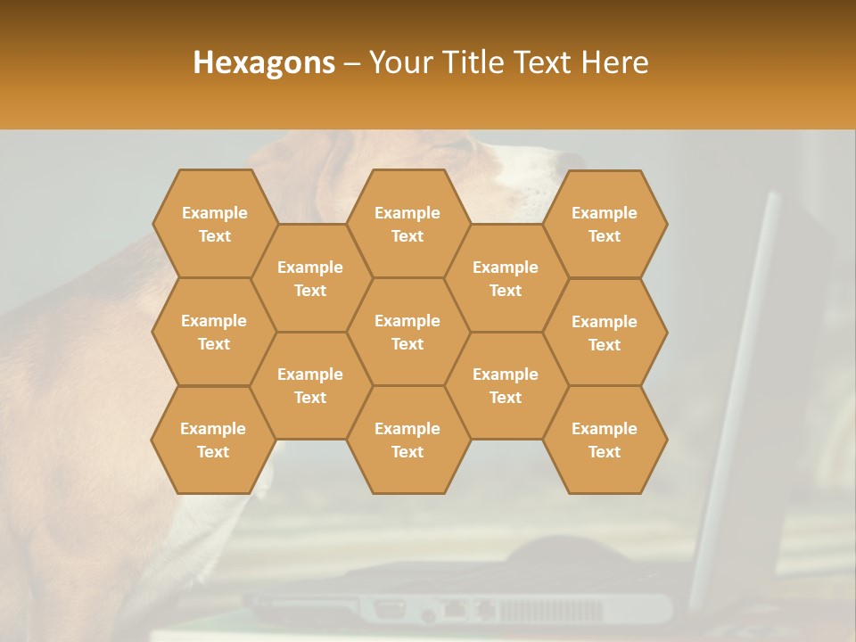 A Dog Sitting In Front Of A Laptop Computer PowerPoint Template