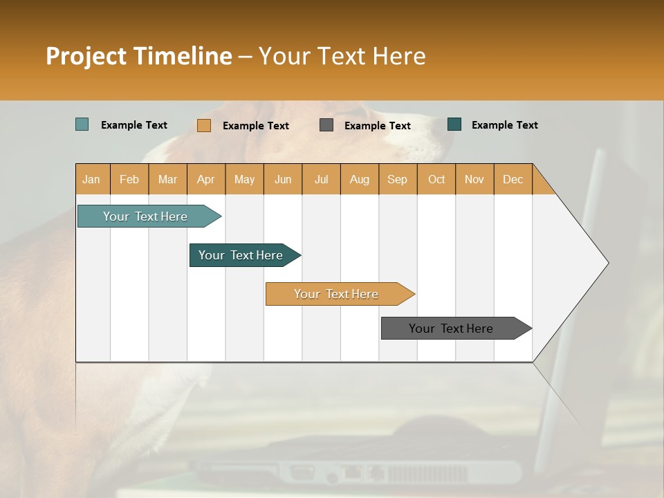 A Dog Sitting In Front Of A Laptop Computer PowerPoint Template