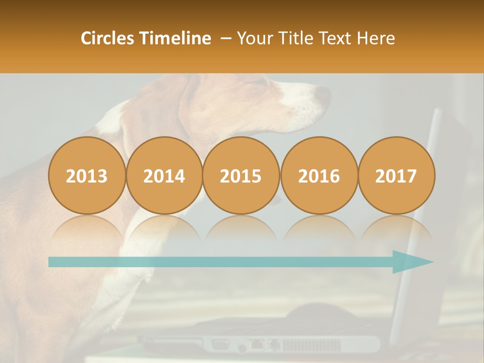 A Dog Sitting In Front Of A Laptop Computer PowerPoint Template