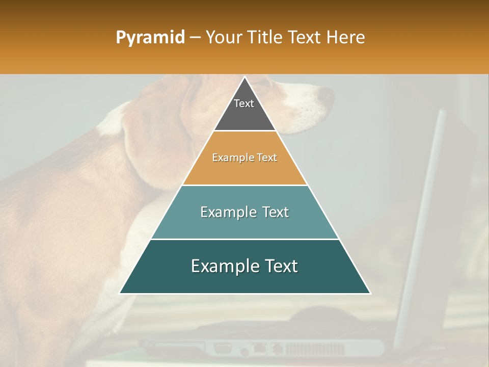 A Dog Sitting In Front Of A Laptop Computer PowerPoint Template