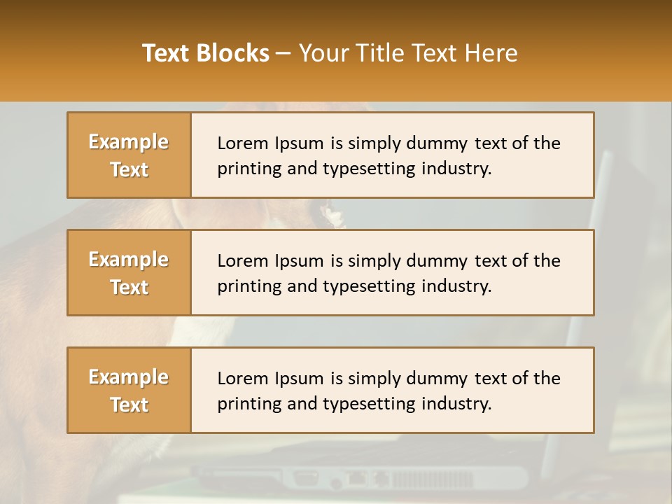 A Dog Sitting In Front Of A Laptop Computer PowerPoint Template