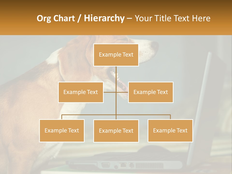A Dog Sitting In Front Of A Laptop Computer PowerPoint Template
