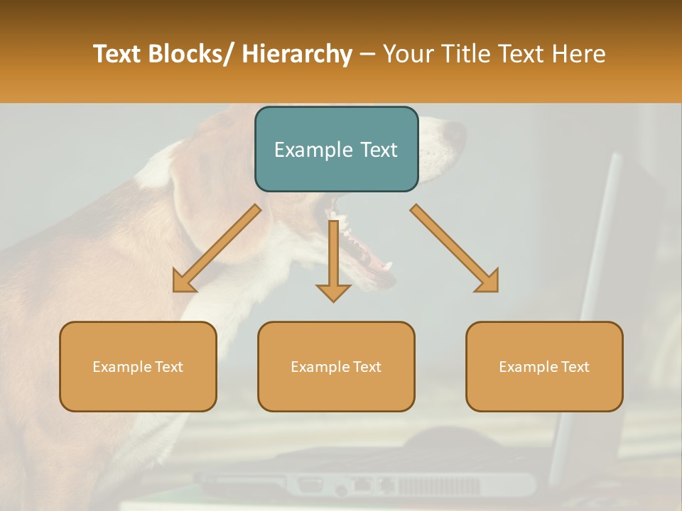 A Dog Sitting In Front Of A Laptop Computer PowerPoint Template