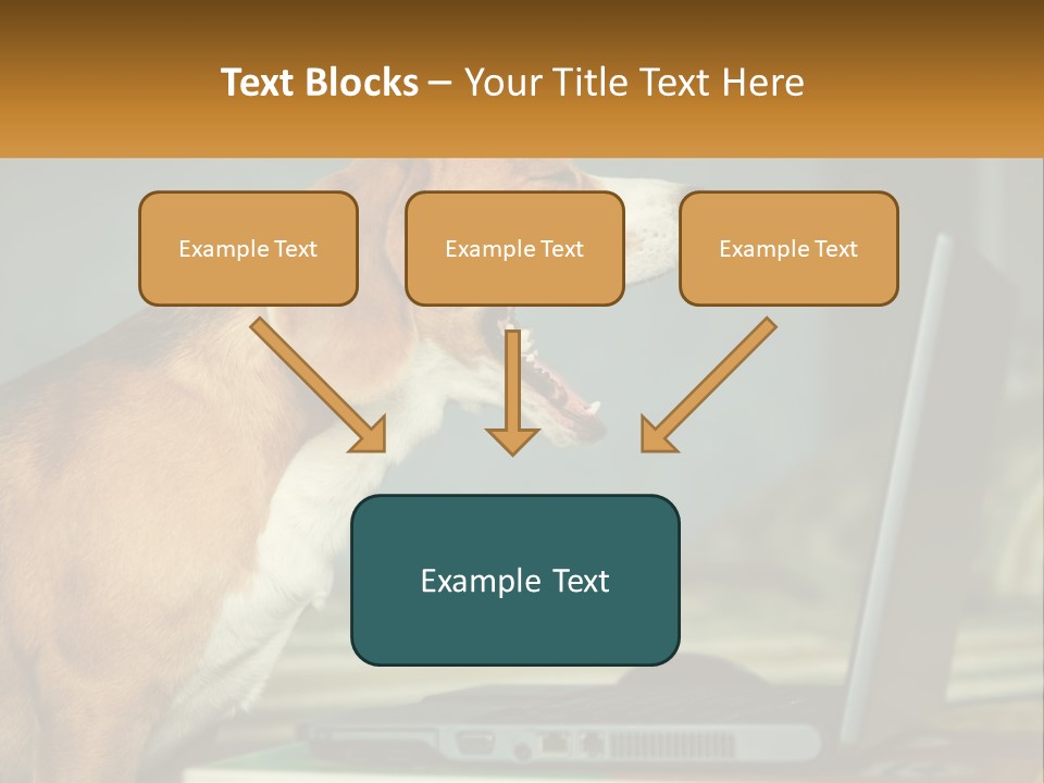 A Dog Sitting In Front Of A Laptop Computer PowerPoint Template