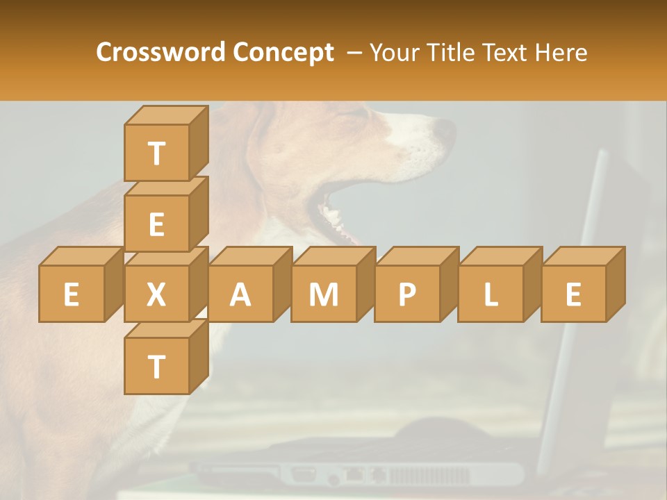 A Dog Sitting In Front Of A Laptop Computer PowerPoint Template